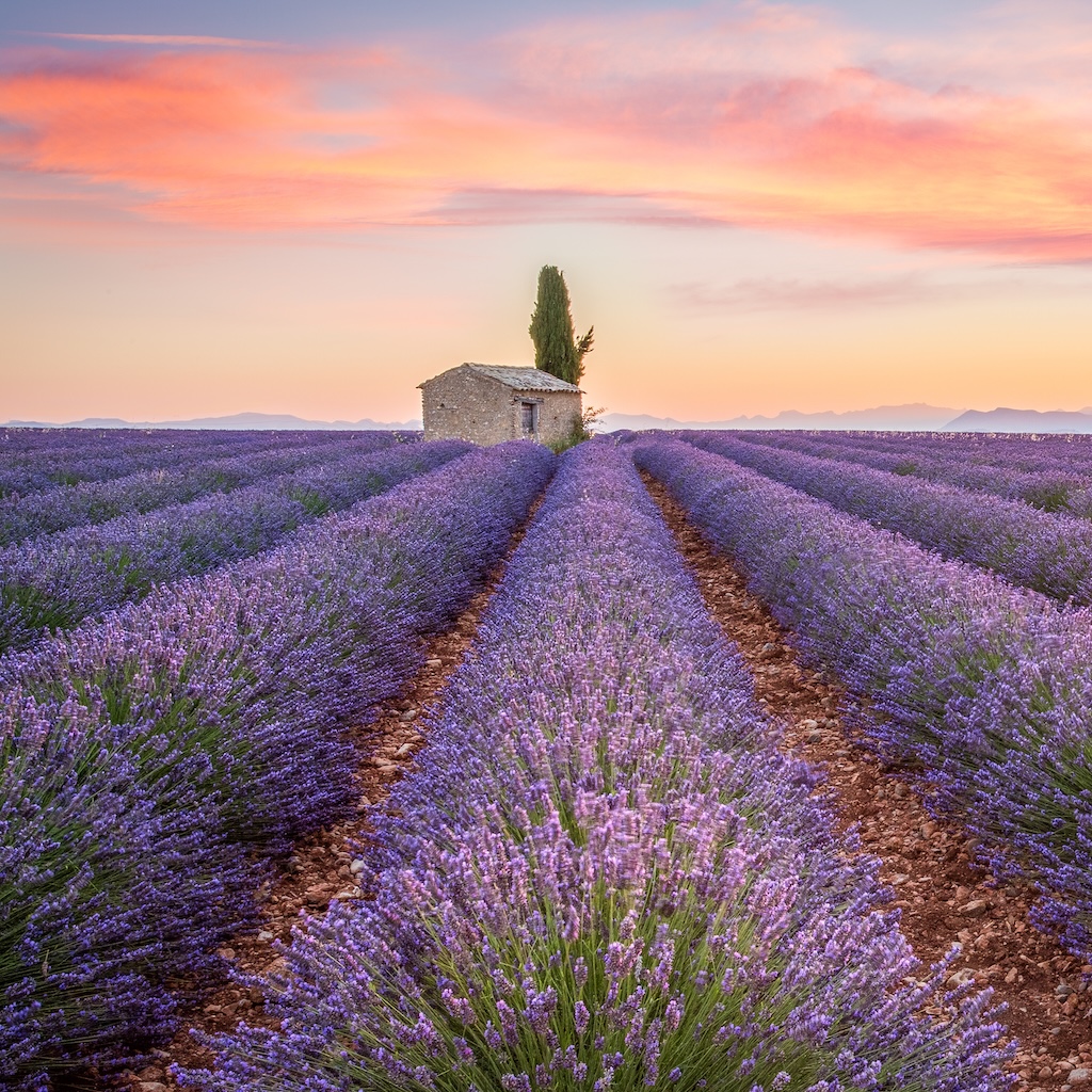 France