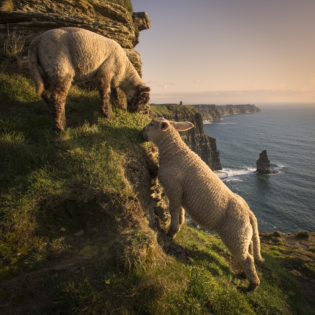 Ireland
